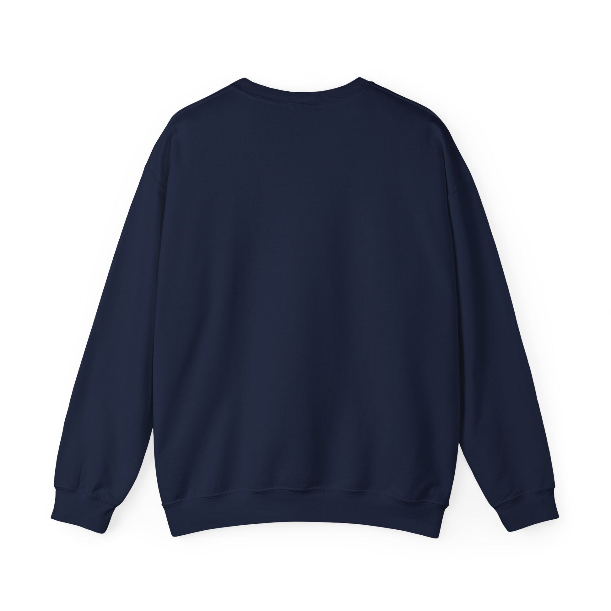 New York Pigeon Mets Crewneck Sweatshirt – NYC Street-Style Graphic