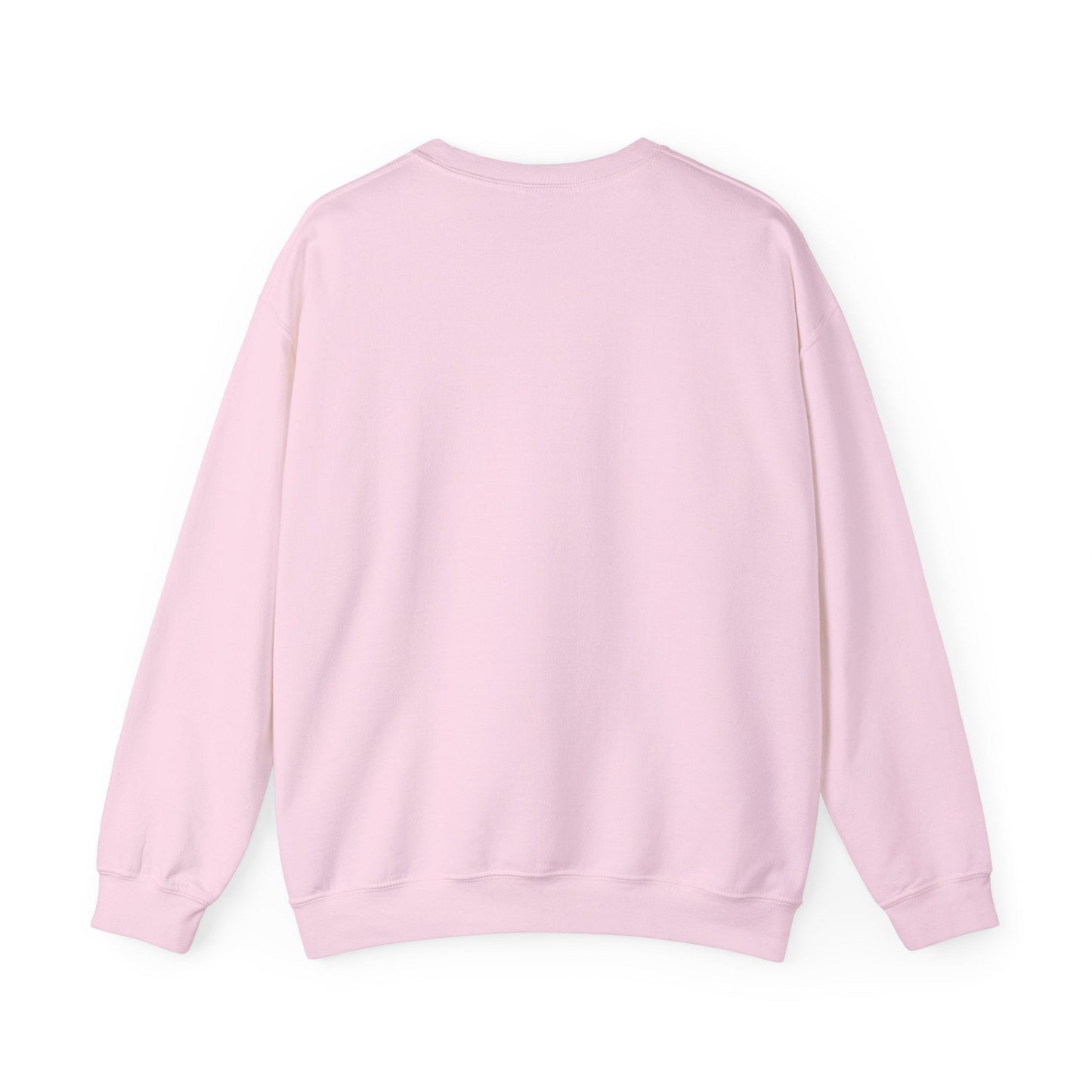 New York Pigeon Mets Crewneck Sweatshirt – NYC Street-Style Graphic